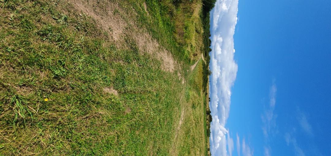 Wilsons Avenue Bmx Track