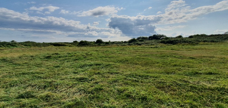 Wilsons Avenue Bmx Track