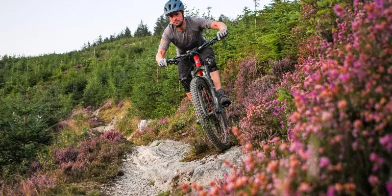 DMBinS Launches UK Trail Project Tour