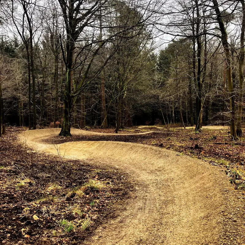 The Jubilee Blue graded trail at Dalby Forest has 