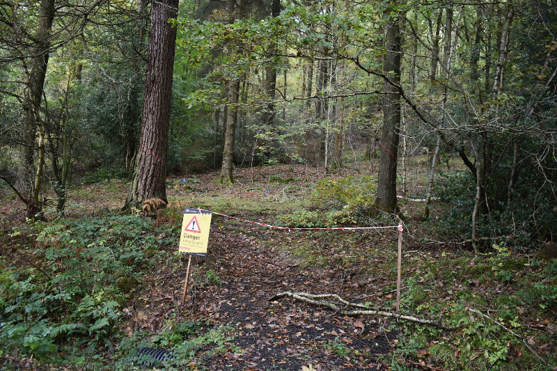 Hamsterley Forest Mountain Bike Trails
