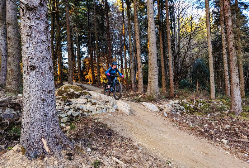 Banchory Woods Mountain Bike Trails