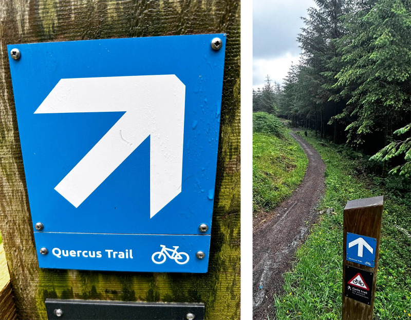 Whinlatter Forest Mountain Bike Trail Centre