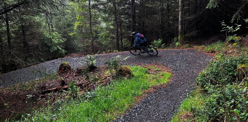 Whinlatter Forest Mountain Bike Trail Centre