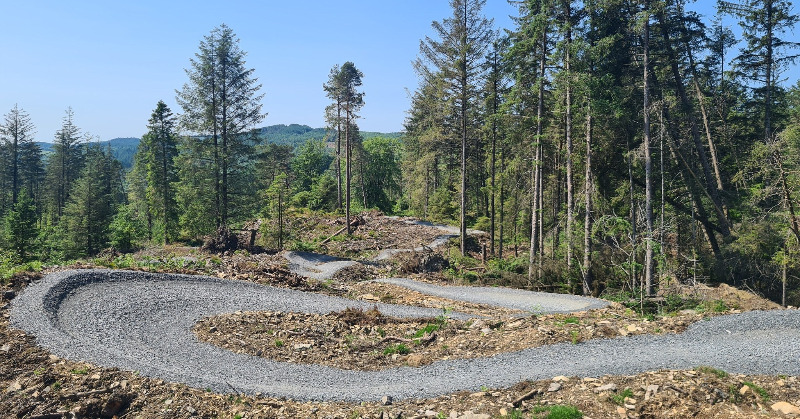 Grizedale Mountain Bike Trail Centre