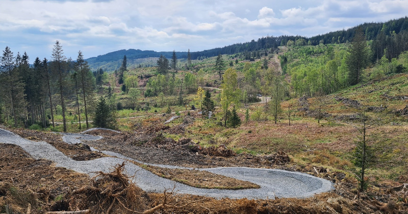 Grizedale Mountain Bike Trail Centre
