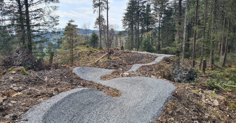 Grizedale Mountain Bike Trail Centre