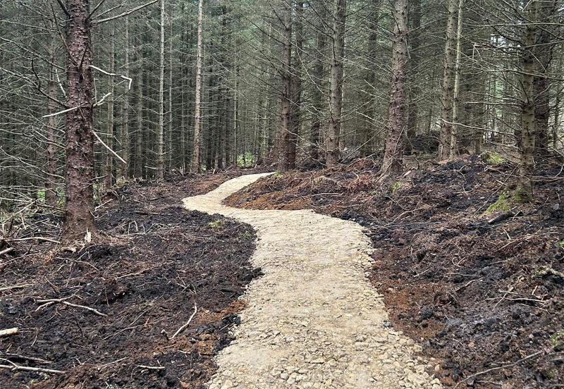 Hamsterley Forest Mountain Bike Trails