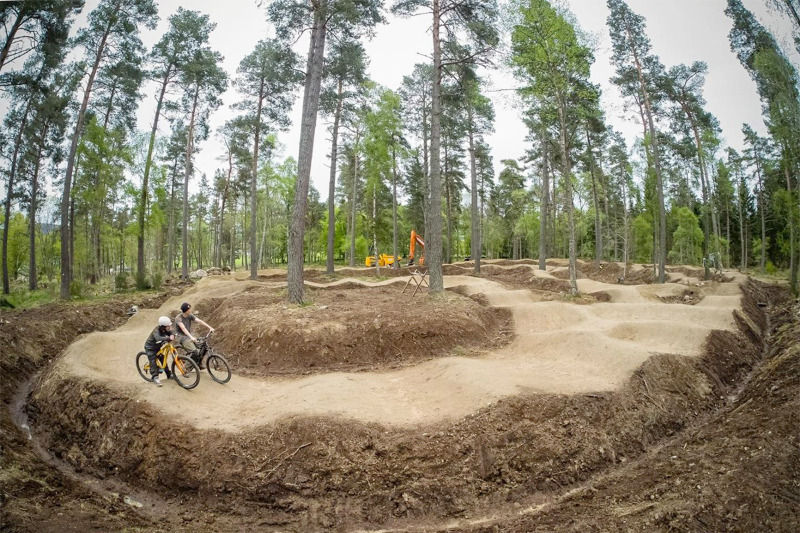 Tarland Mountain Bike Trails