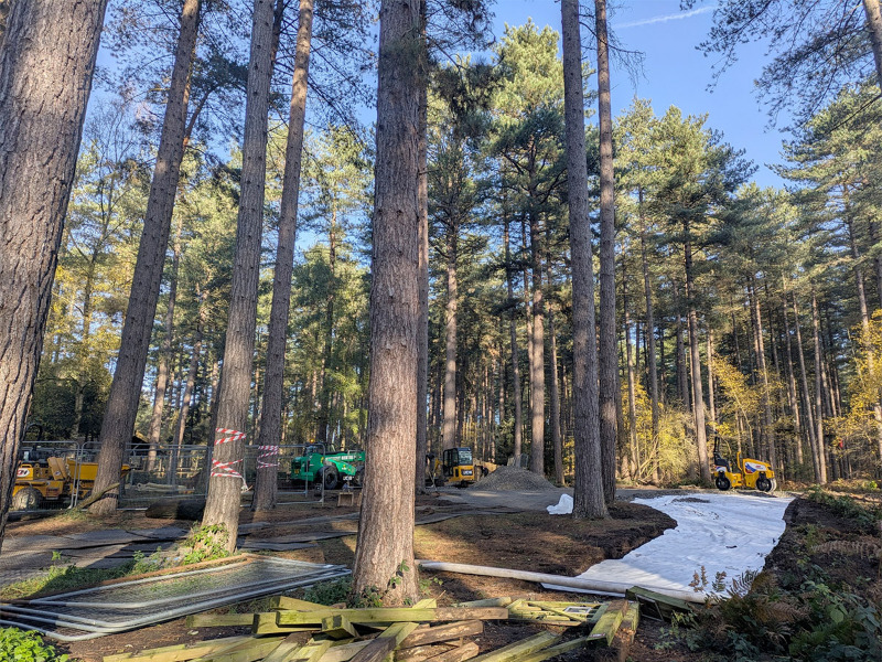 Sherwood Pines - Pedal and Play trail
