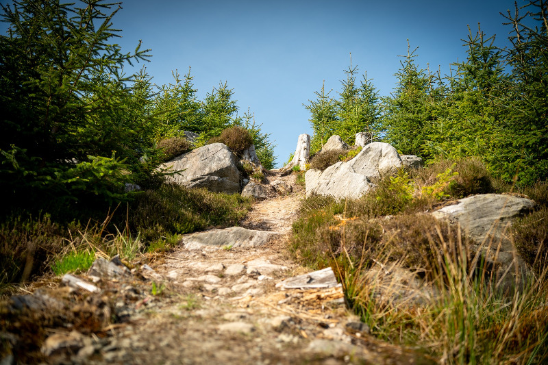 Kielder Mountain Bike Trails