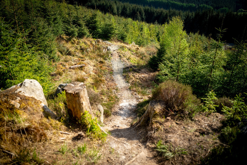 Kielder Mountain Bike Trails