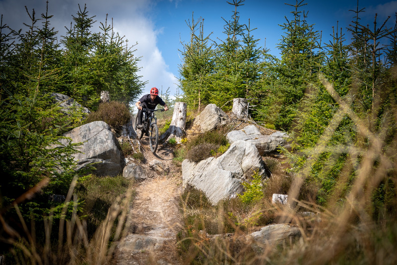 Kielder Mountain Bike Trails