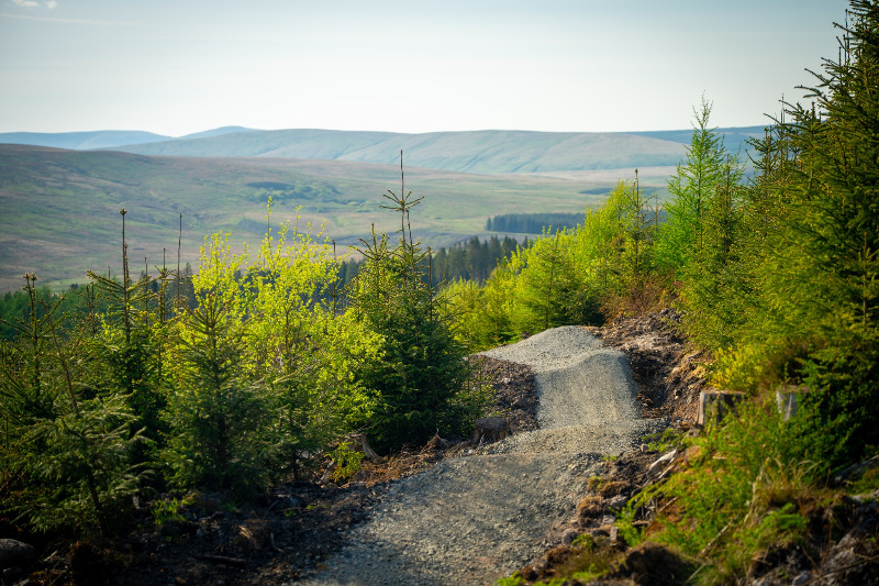 Kielder Mountain Bike Trails