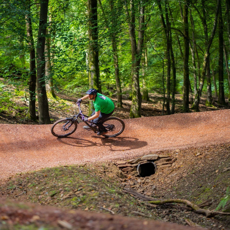 Forest of Dean Mountain Bike Trails