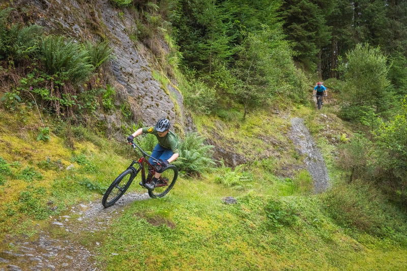 Brechfa Forest Mountain Bike Trails