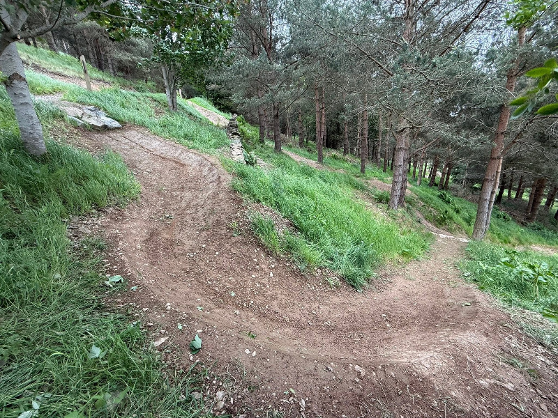 Glentress Mountain Bike Trails