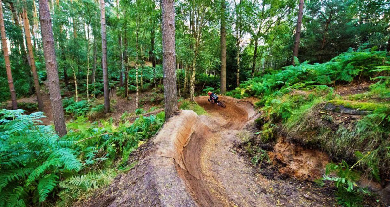 Woburn Bike Park & Trails
