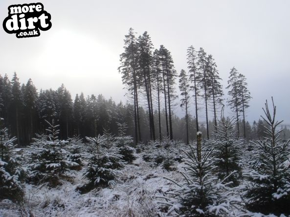 Newcastleton Mountain Bike Trails