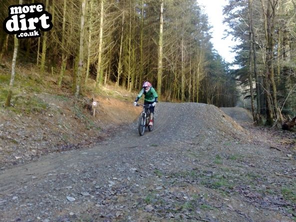 Raven Trail - Brechfa