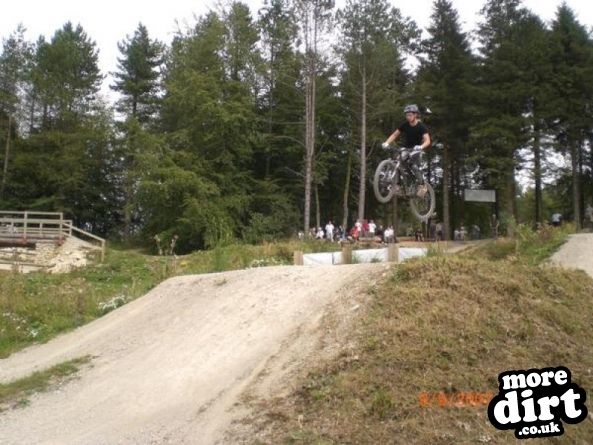 Pace Bike Park - Dalby Forest