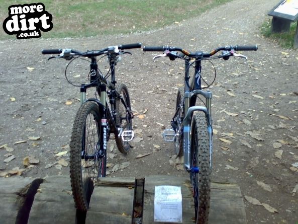 Follow the Dog Trail - Cannock Chase
