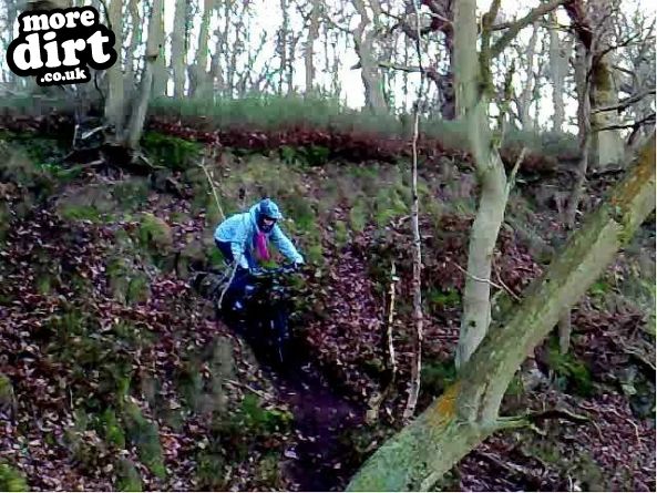 The Wrekin & Ercall Trails