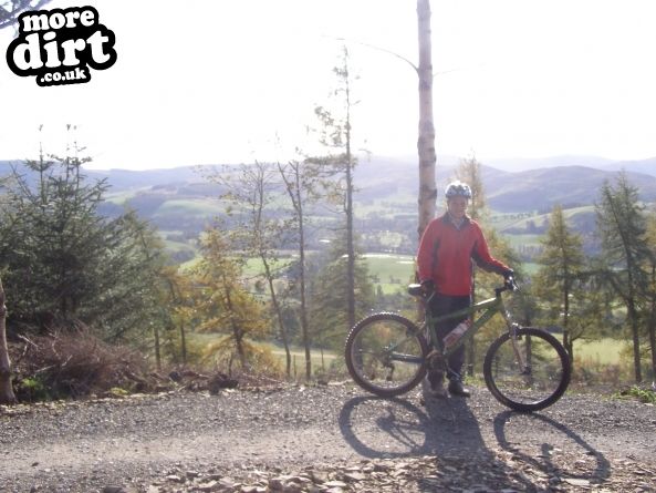 The Red Trail - Glentress