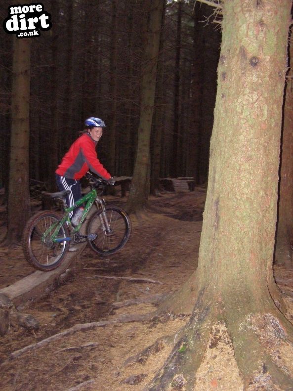The Black Trail - Glentress