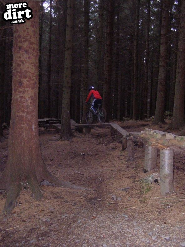 The Black Trail - Glentress