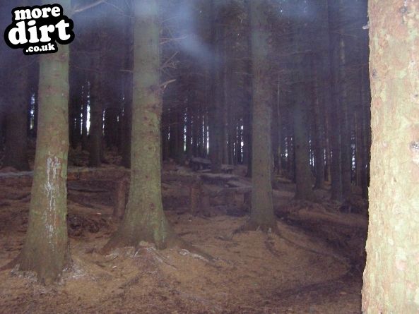 The Black Trail - Glentress