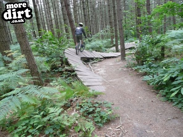 Bedgebury Freeride Area
