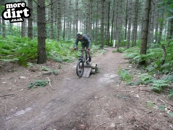 Bedgebury Freeride Area