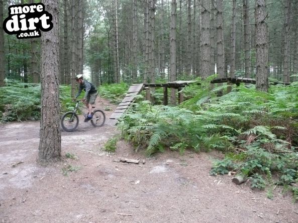 Bedgebury Freeride Area