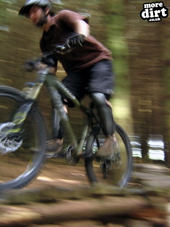 The Black Trail - Glentress