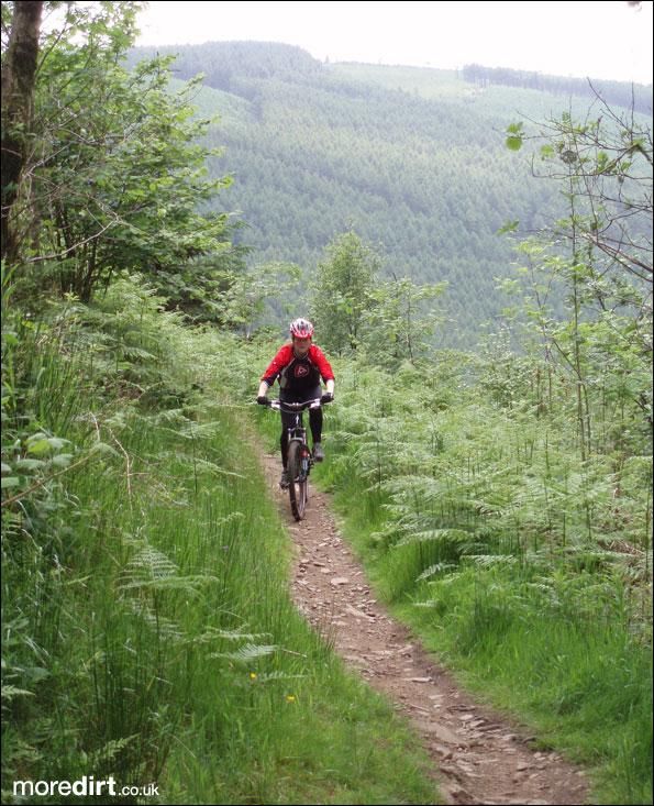 The Wall Trail - Afan Forest