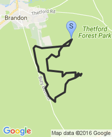 Lime Burner Trail - Thetford Forest