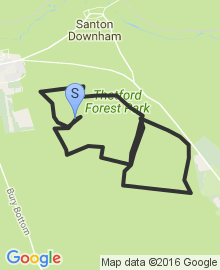 Beater Trail - Thetford Forest