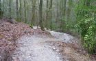 Plymbridge Woods Mountain Bike Trail