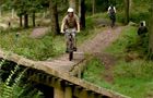Ae Forest Mountain Bike Trail Centre