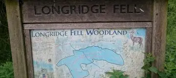 Longridge Fell Mountain Bike Trails