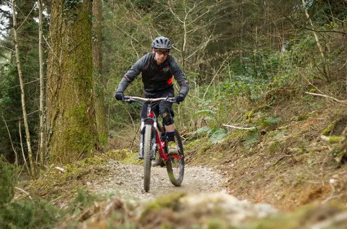 Cardinham Woods Mountain Bike Trails - 