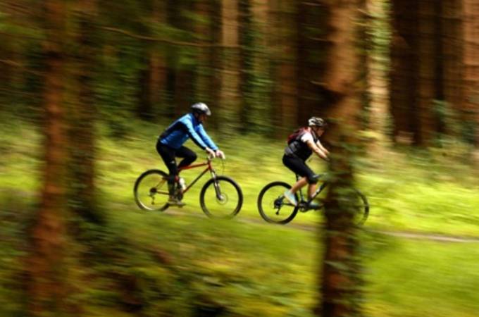 Castle Archdale Forest Cycle Trails