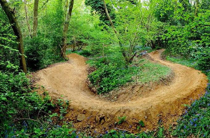 Danbury Common Mountain Bike Trails