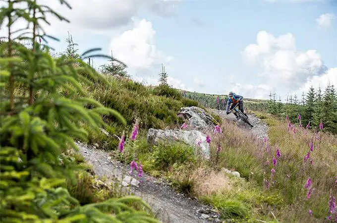 Davagh Forest Mountain Bike Trail Centre - 