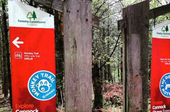 Follow the Dog Trail - Cannock Chase - 