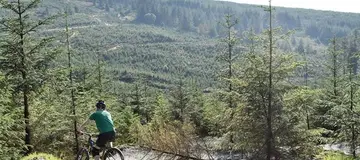 Gortin Glen Forest Mountain Bike Trails