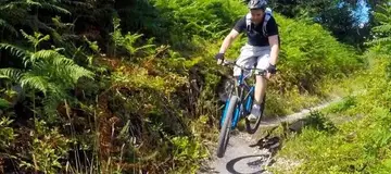 Haldon Forest Mountain Bike Trail Centre