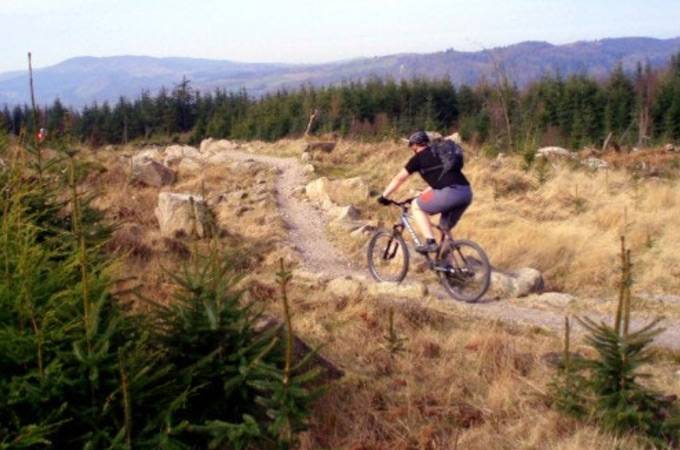 Jedforest Mountain Bike Trails - 