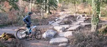 Leigh Woods Mountain Bike Trails